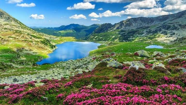 Езеро в планината, цветя онлайн пъзел