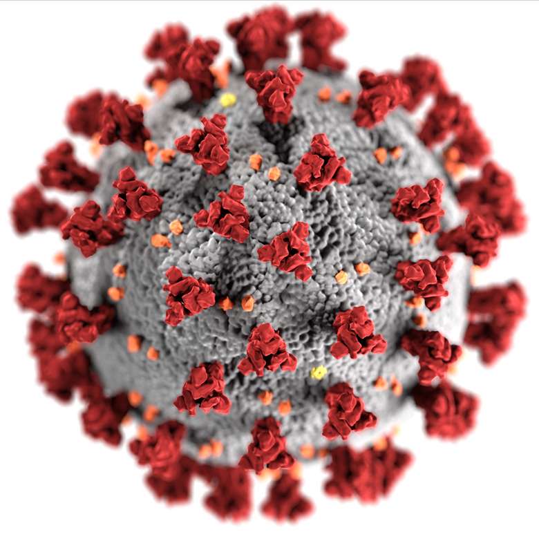 SARS-VOC-2 vírusok online puzzle
