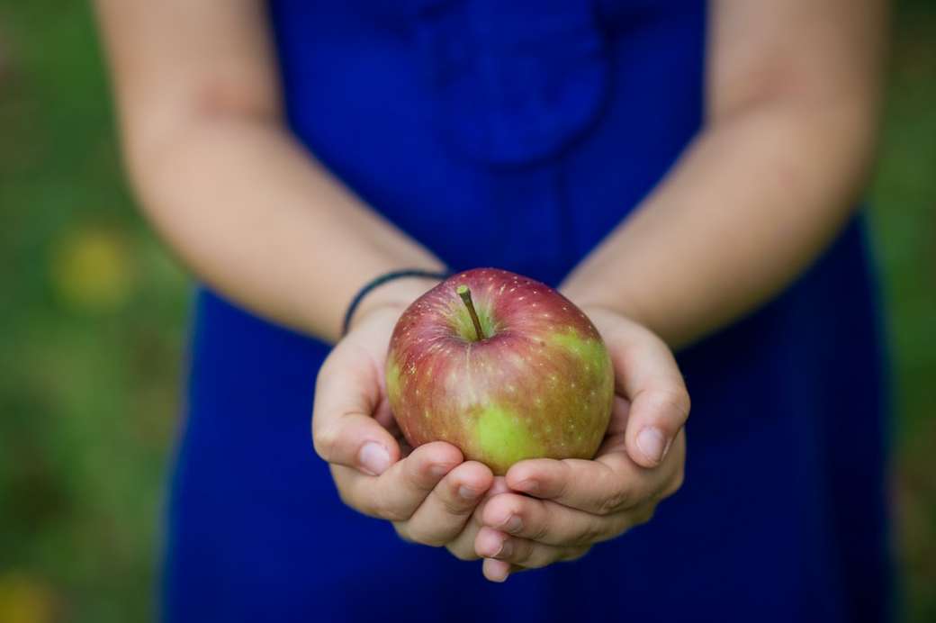 човек, който държи плодове от зелена ябълка онлайн пъзел