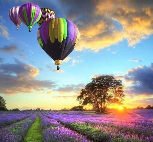 Ballonnen boven een lavendelblauwe veld legpuzzel online