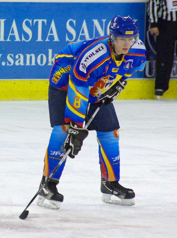 Mateusz Michalski (Hockeyspieler) Online-Puzzle