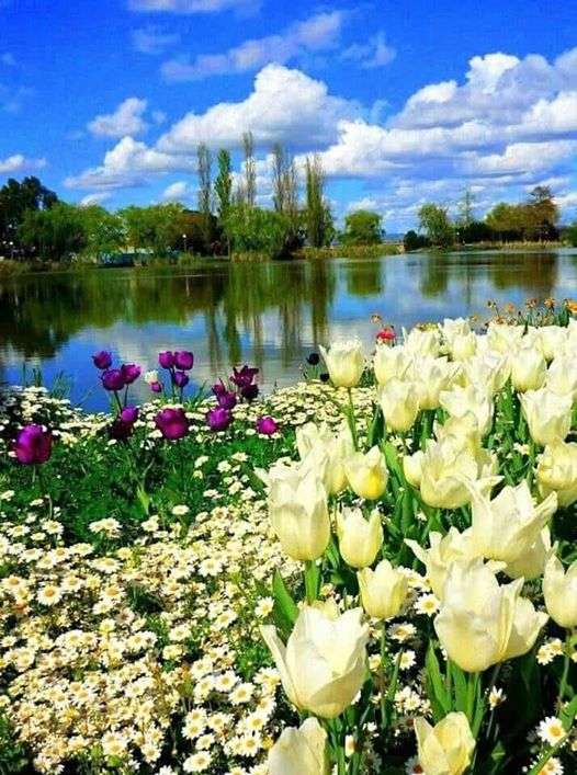 λουλούδια δίπλα στη λίμνη παζλ online