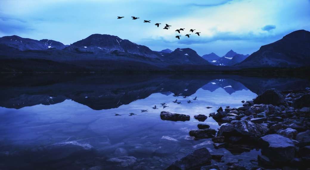 πουλιά που πετούν πάνω από τη λίμνη online παζλ