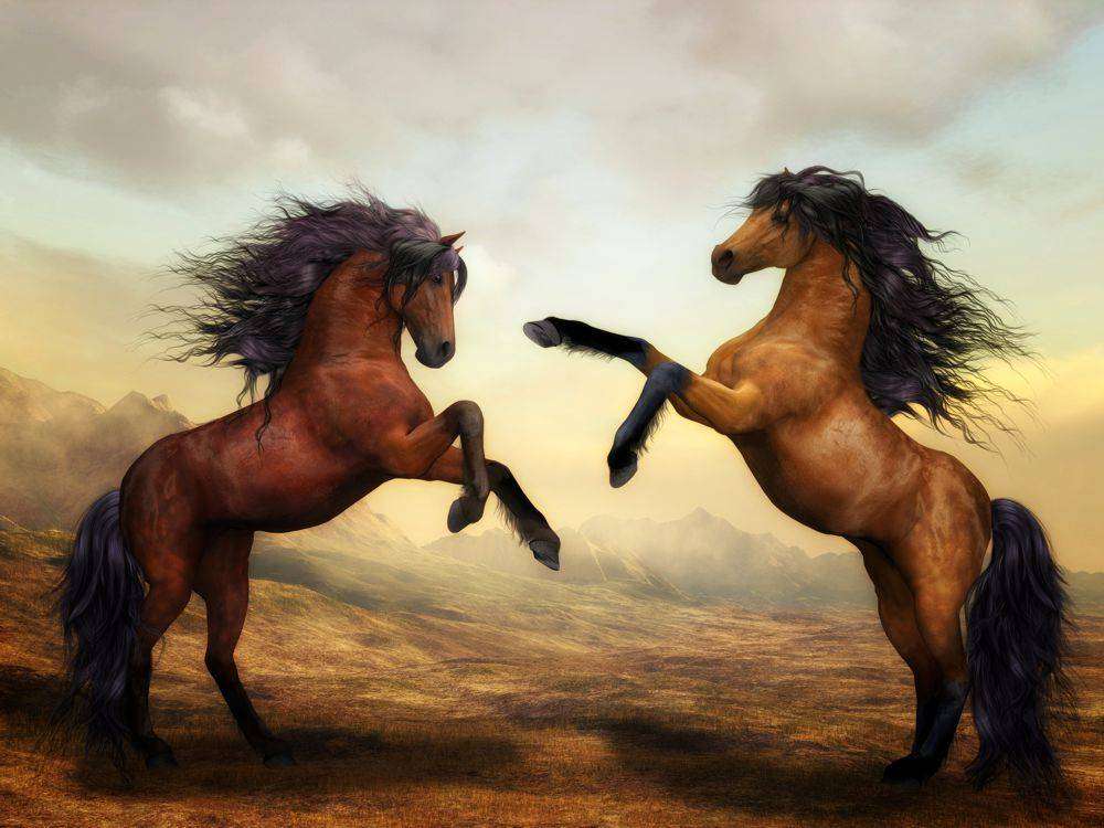 две лошади пазл онлайн