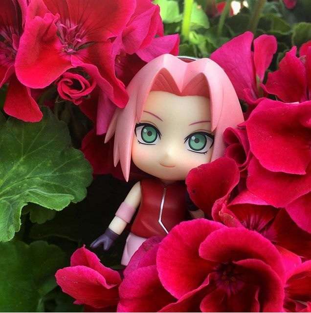 Sakura mitt i vackra pelargoner Pussel online