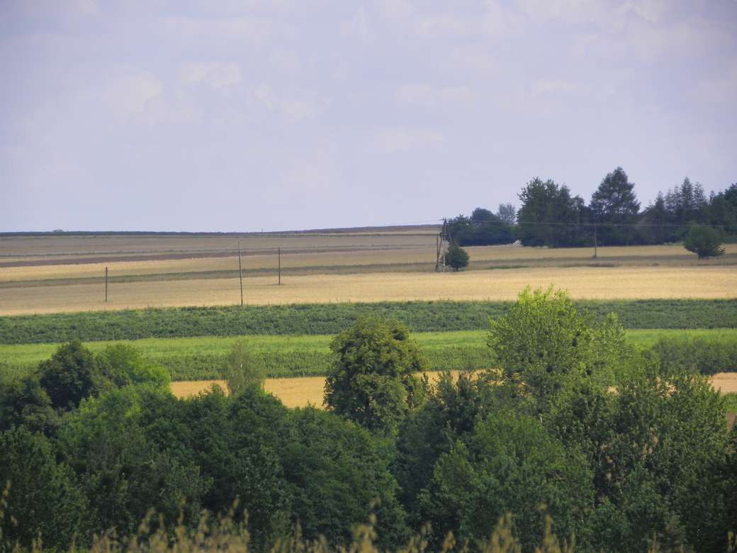 Fields in the Lublin region online puzzle