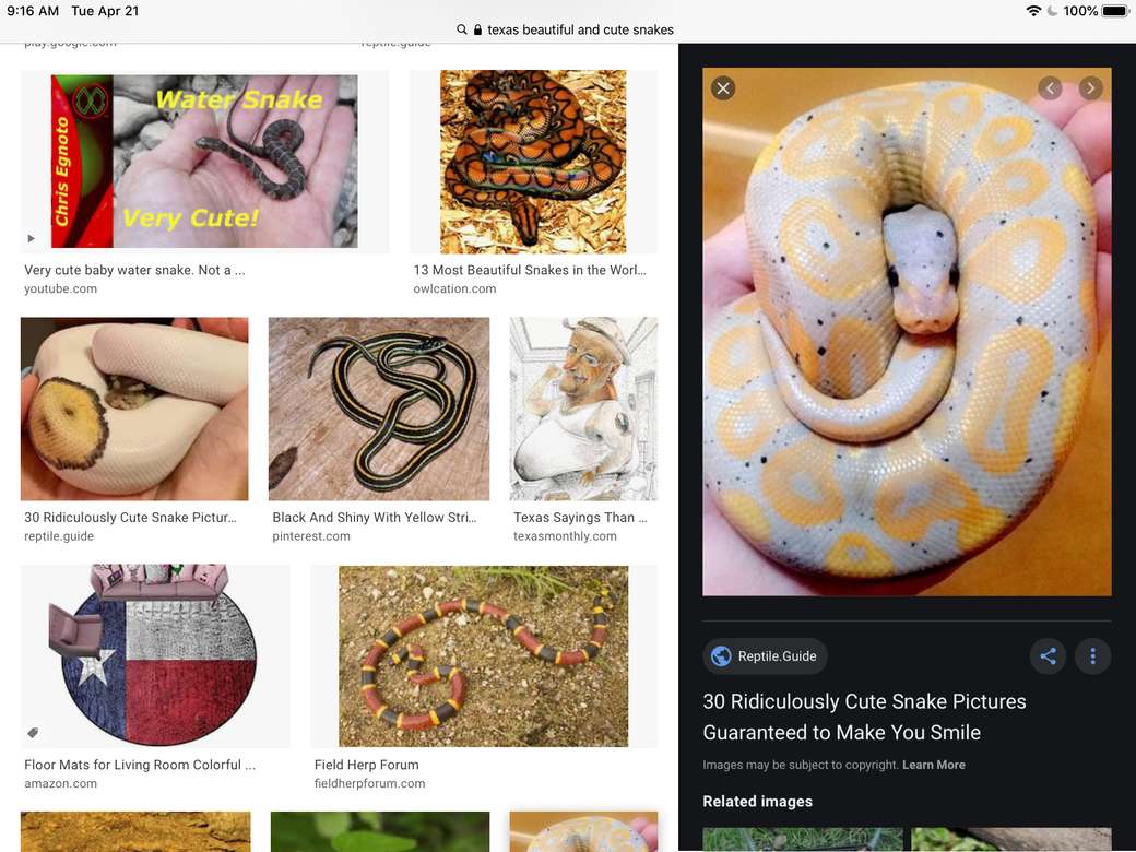 Случайни снимки на змии онлайн пъзел