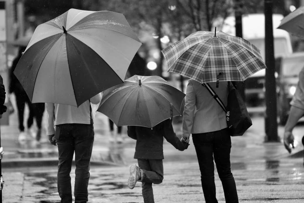 Jours de pluie à Vancouver puzzle en ligne