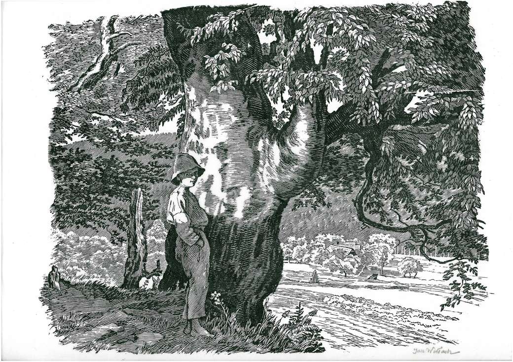 ブナの木の下の少年-JanWałach ジグソーパズルオンライン