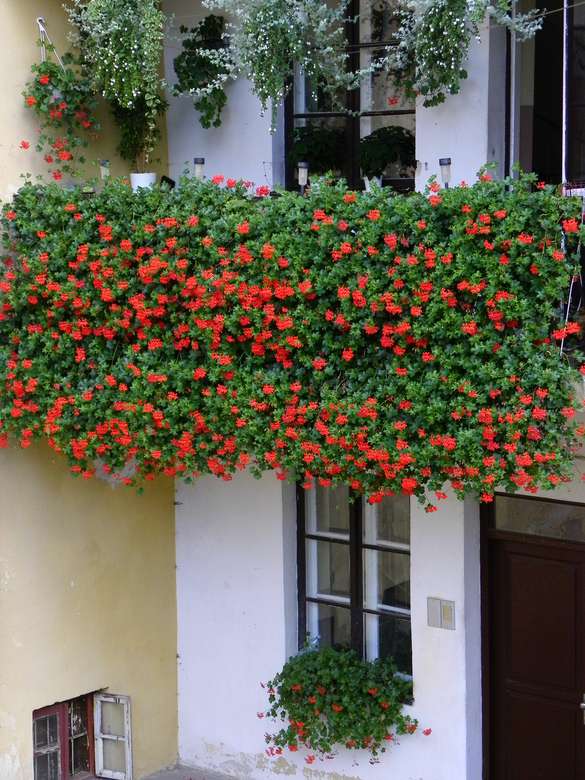 Blumen auf dem Balkon Online-Puzzle