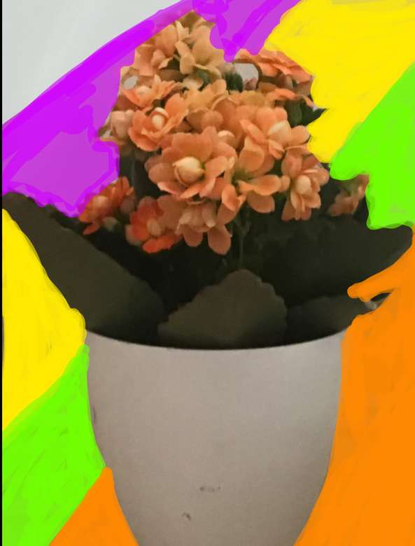 Colorful flowers online puzzle