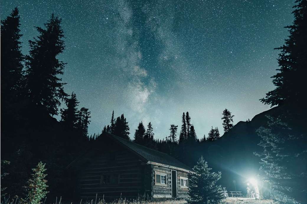 бяла и кафява къща в близост до дървета под звездна нощ онлайн пъзел
