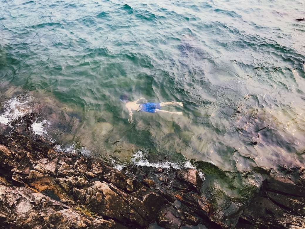 muž v modrém krátkém plavání na pobřeží během dne online puzzle