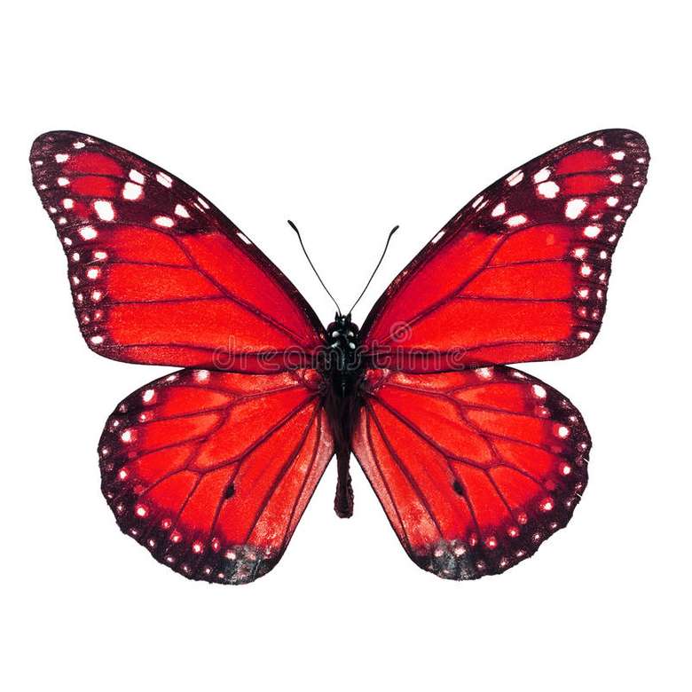 червоний метелик пазл онлайн