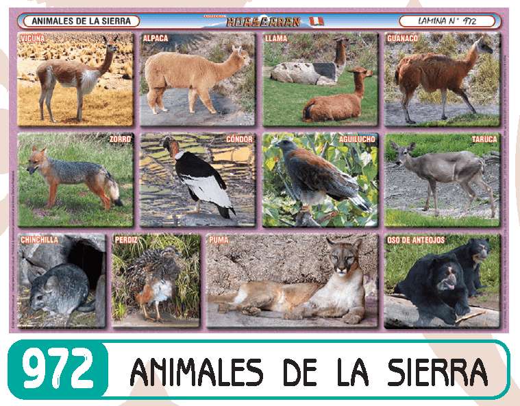animali sebastiàn puzzle online
