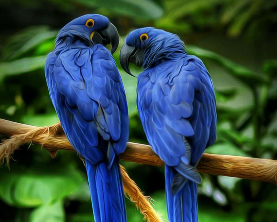 Twee blauwe papegaaien legpuzzel online
