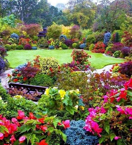 цветочный садик пазл онлайн