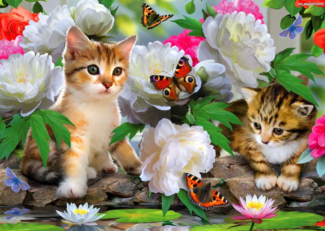 Gatitos y mariposas rompecabezas en línea