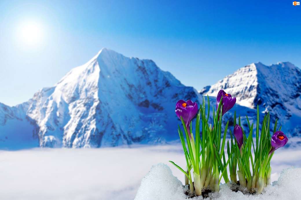WINTER IN THE MOUNTAINS jigsaw puzzle online