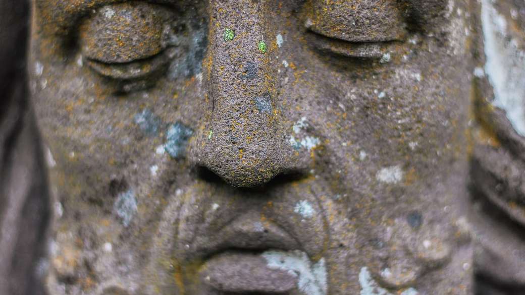 statuia feței omului puzzle online