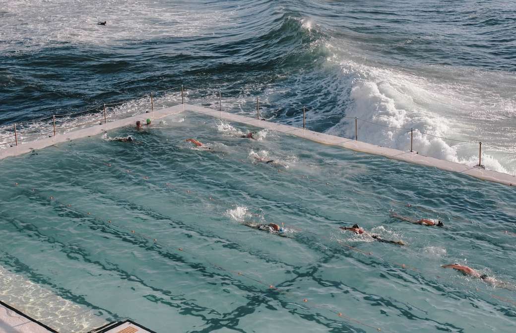 oamenii care înot pe plajă în timpul zilei puzzle online