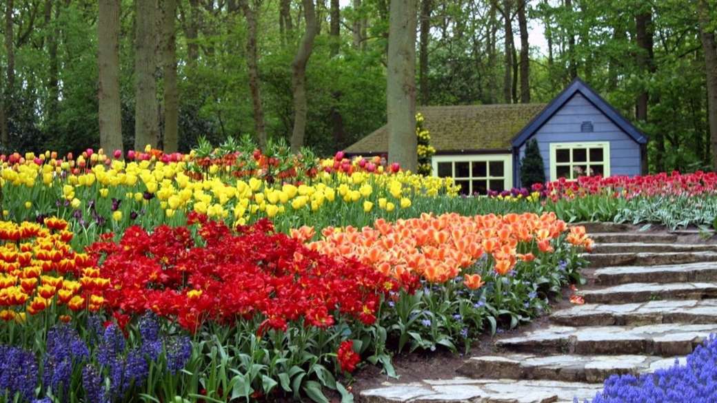 Färgglad blommaträdgård pussel på nätet