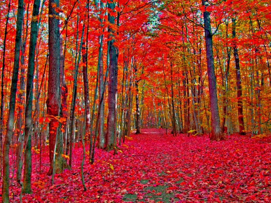 Herbstliche Landschaft Online-Puzzle
