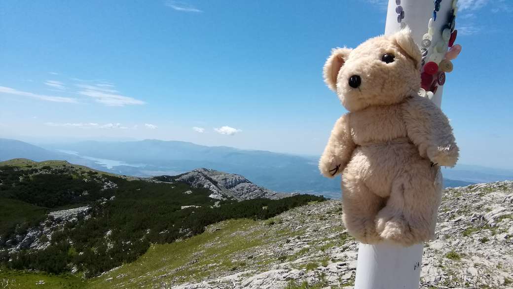 Nallebjörn på toppen av berget pussel på nätet