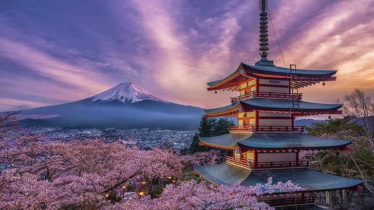 Цвіт вишні -Японія -Гора Фудзі онлайн пазл