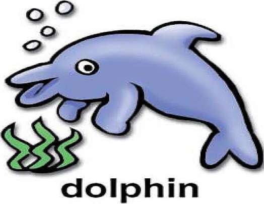 d для дельфіна онлайн пазл