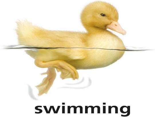 s для плавання онлайн пазл