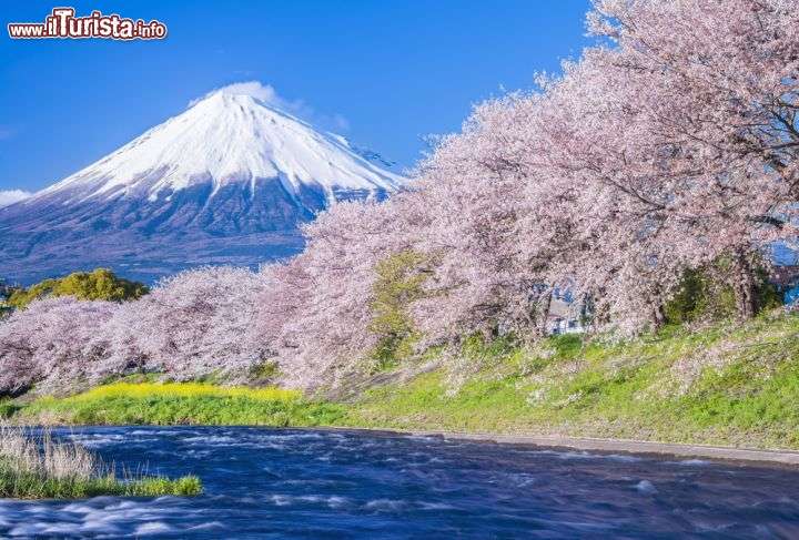 Japanese landscapes 2 online puzzle