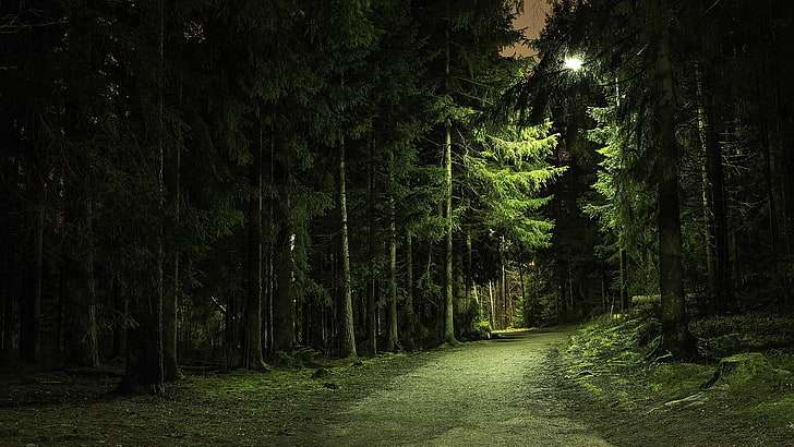 Зелени листни дървета -Нощ. онлайн пъзел