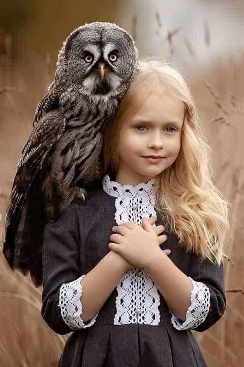 Krásný obrázek dívky s sova skládačky online