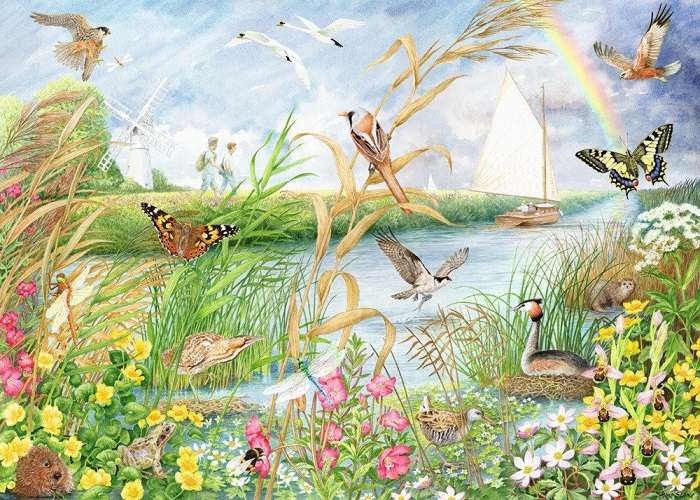 Păsări, mamifere și insecte. jigsaw puzzle online