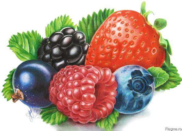 Frutas de verão quebra-cabeças online