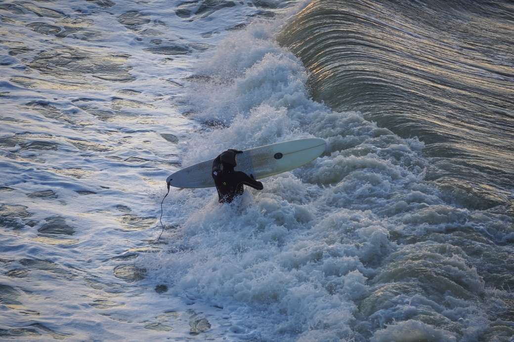 man surfing photograph online puzzle