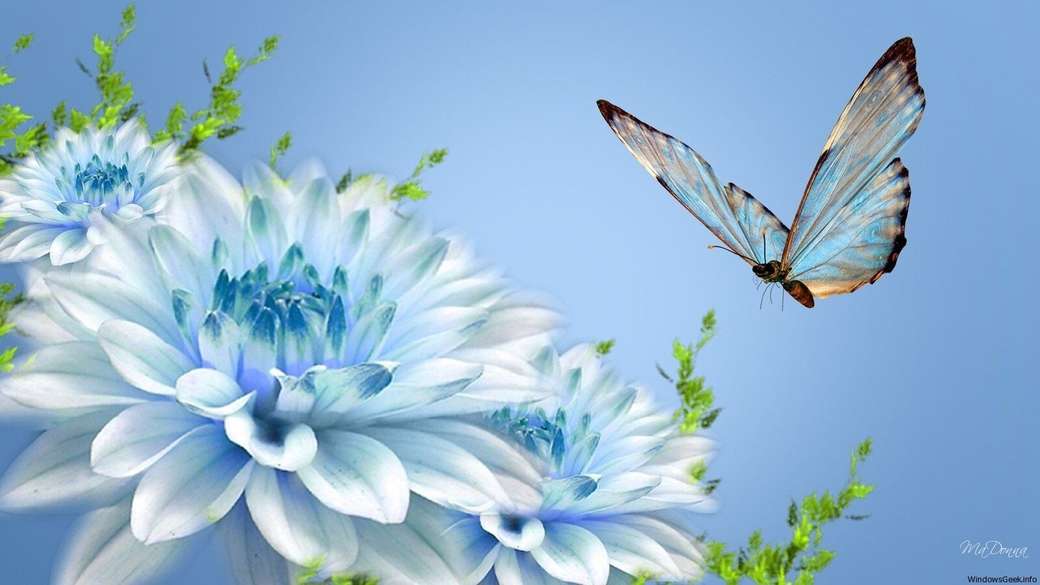 Buclatý motýl skládačky online