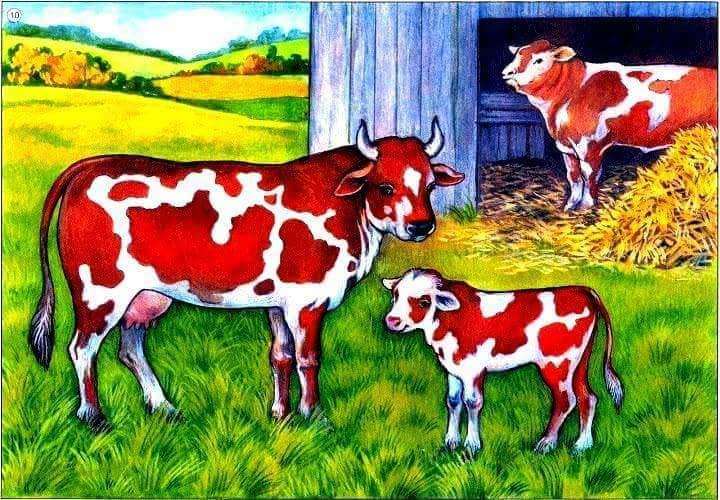 La vaca y su familia. rompecabezas en línea