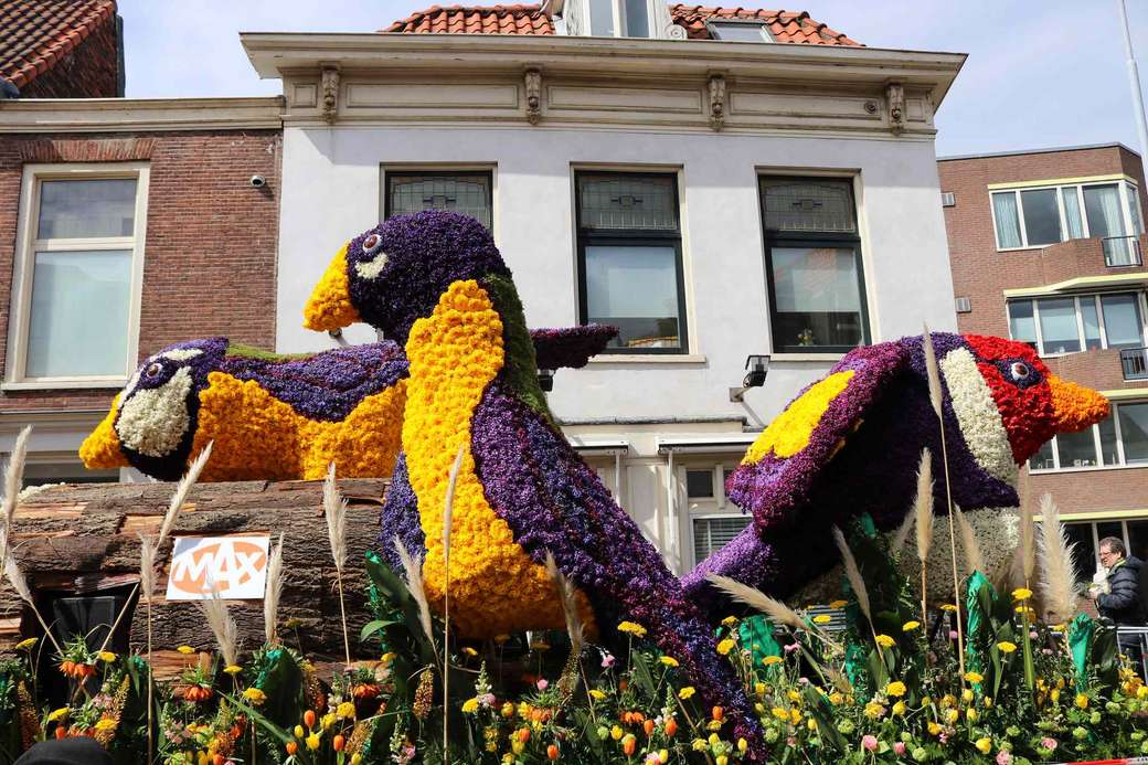 Desfile de flores nos Países Baixos quebra-cabeças online