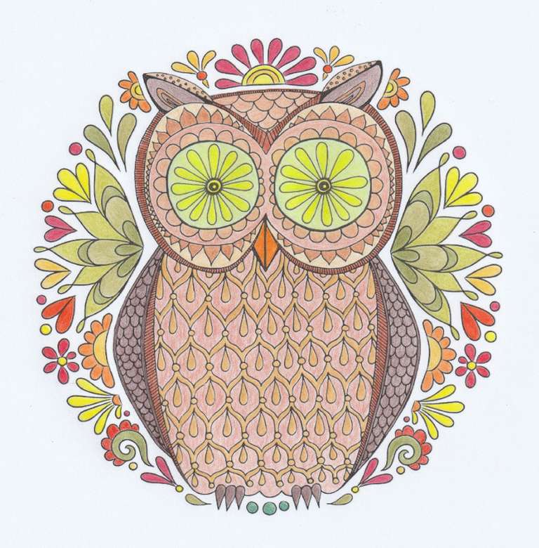 Coloring picture owl jigsaw puzzle online