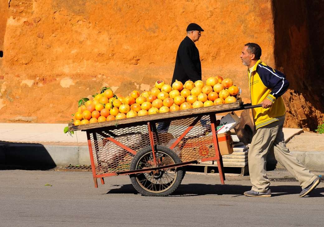 Orangen transportieren. Online-Puzzle