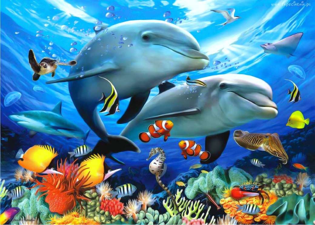 Delfinii de pe recif puzzle online