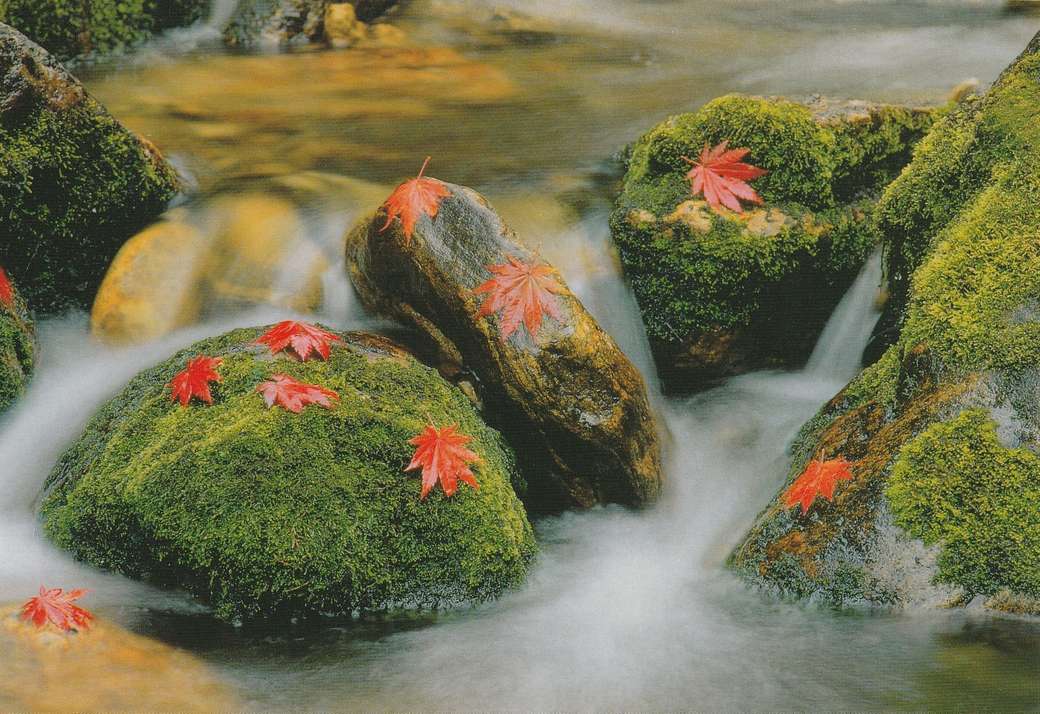 Folhas de outono de pedras musgosas de bach puzzle online