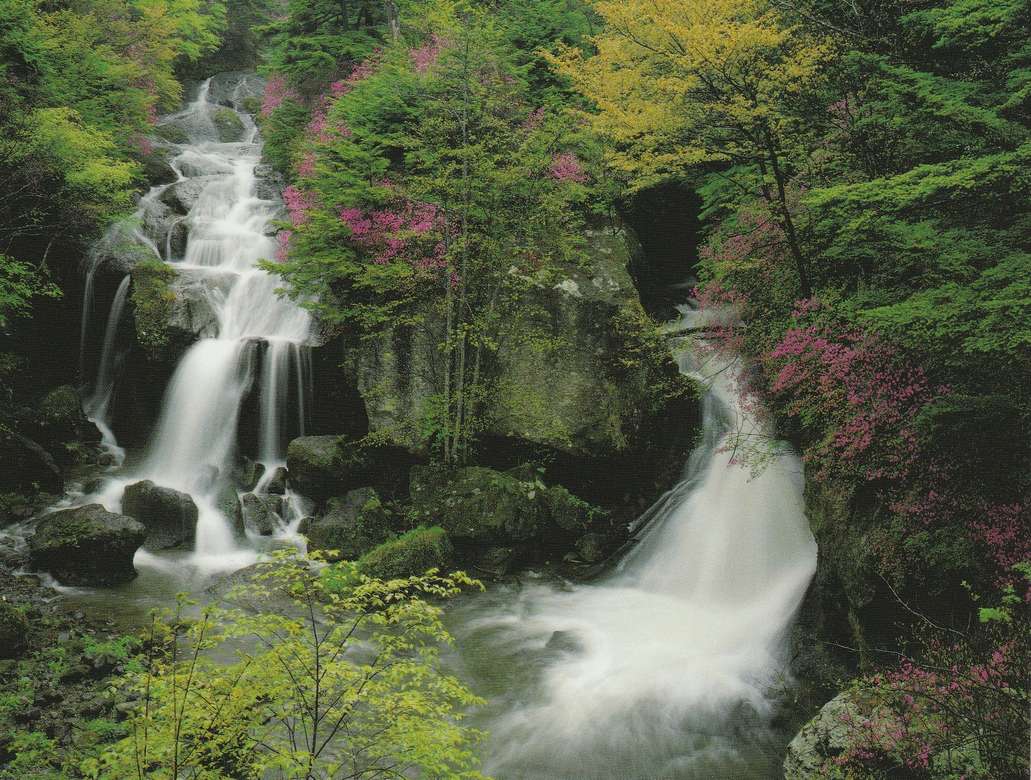 Zwei rauschende Wasserfälle im Wald Online-Puzzle