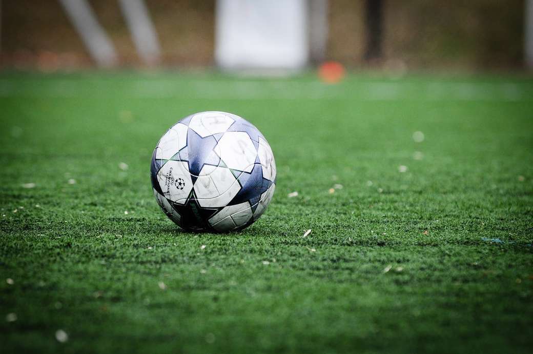 біло-синій футбольний м'яч на зеленому трав'яному полі онлайн пазл