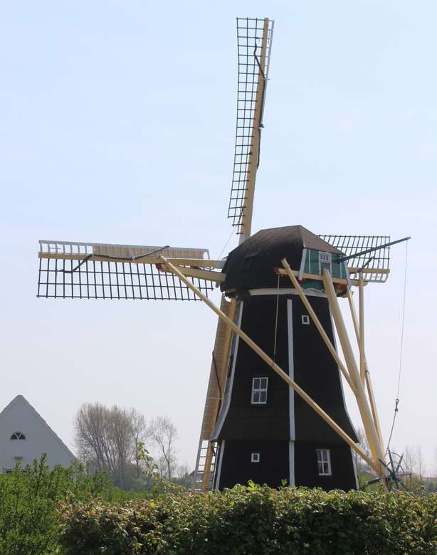 Mill on Zeeland in Holland jigsaw puzzle online