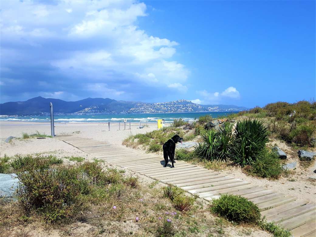 Kilátás a Rubina strandra kirakós online