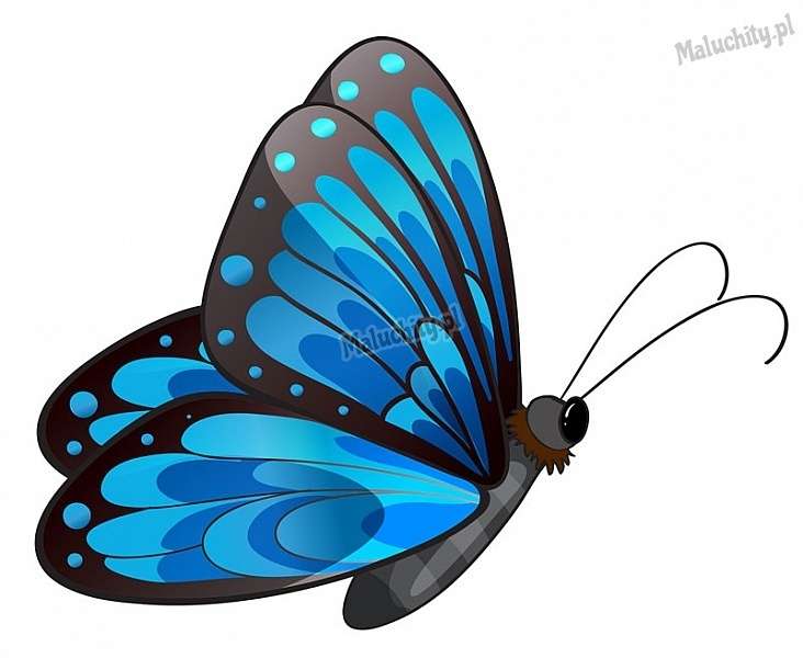 BLUE BUTTERFLY jigsaw puzzle online