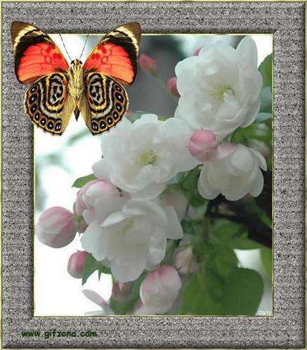 FLOWERS AND BUTTERFLY ... online puzzle